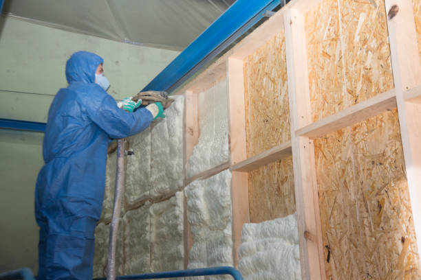 Insulation Replacement Services in Leonardtown, MD